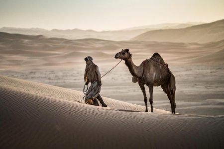 Пустыня сахара бедуины