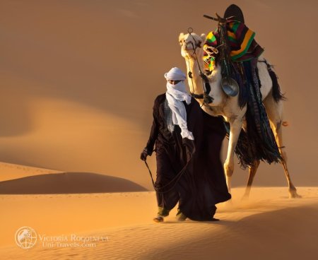 Бедуины туареги