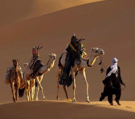 Туареги марокко бедуины