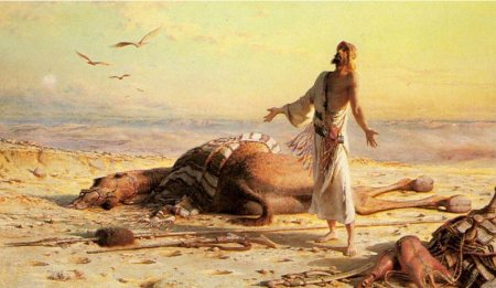 Карл хааг. в пустыне