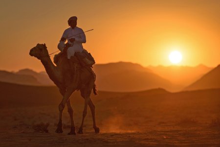 Арабы бедуины