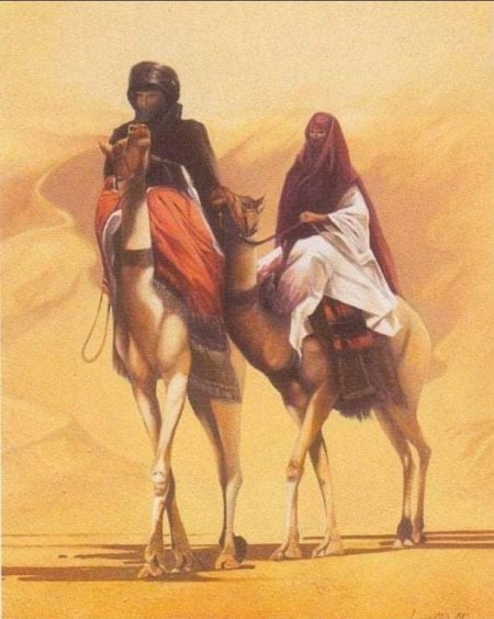 Бедуины марокко