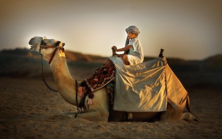 Человек на верблюде