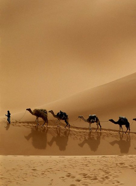 Шелковый путь караван