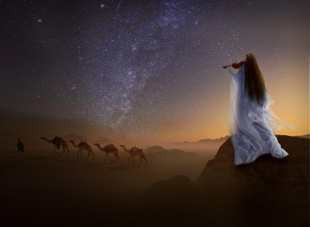 Ночь в пустыне