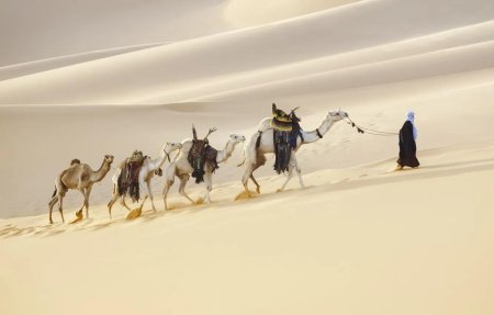 Арабская пустыня