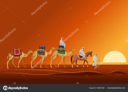 Верблюд караван шелковый путь вектор