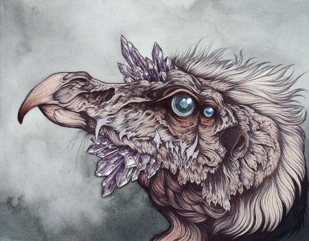 Каитлин хакет