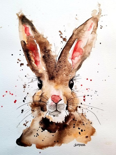 Кролик акварель
