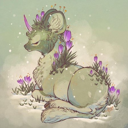 Ёжик наоми лорд