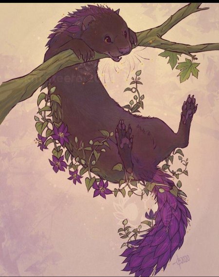 Животные иллюстрации