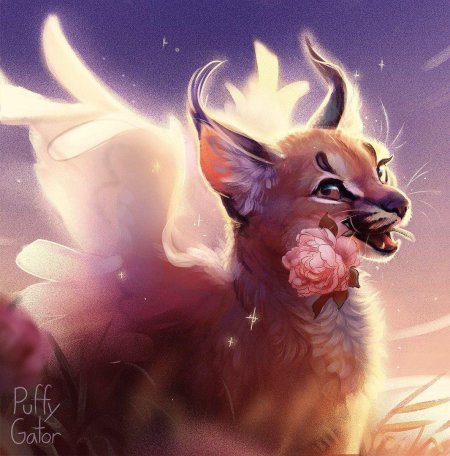 Коты воители каракал