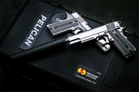 Dan wesson .с глушителем