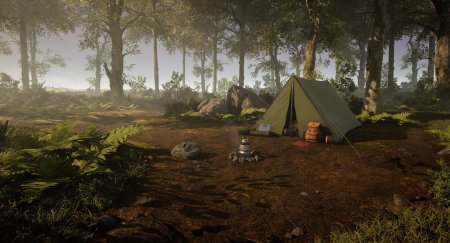 Forest camp