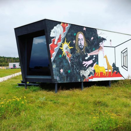 Арт кэмп дикая мята