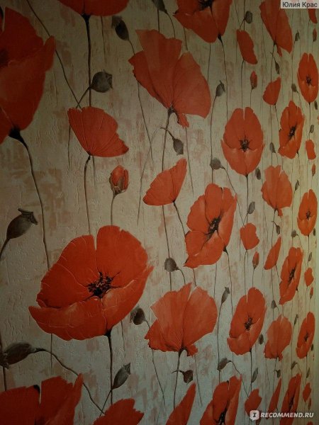 Виниловые обои с маками