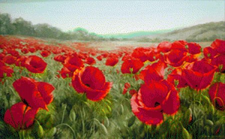 Маковое поле картина