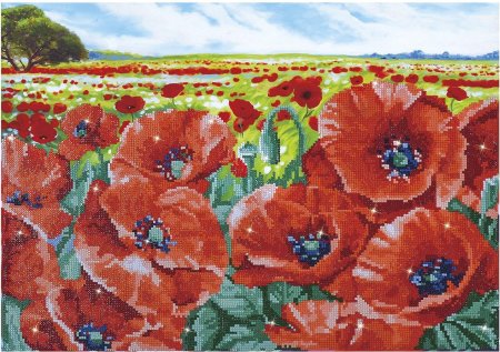 Маковое поле