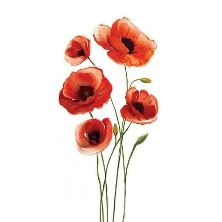 Акварельные маки