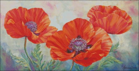 Marianne broome маки