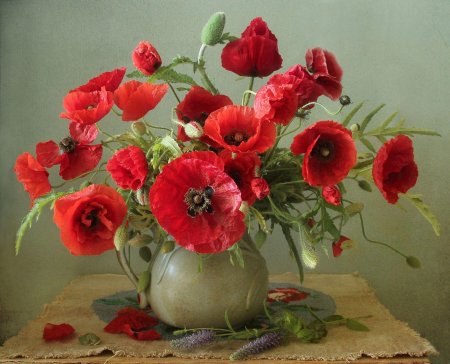 Марина филатова фотонатюрморты с маками