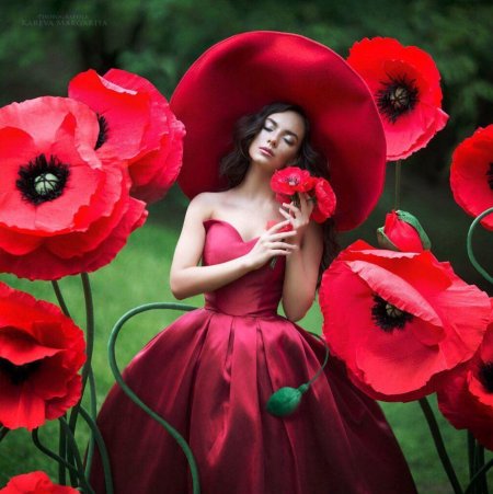 Маргарита карева маки