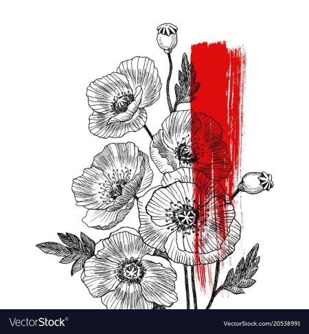 Стилизованные маки