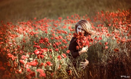 Фотосессия в маковом поле
