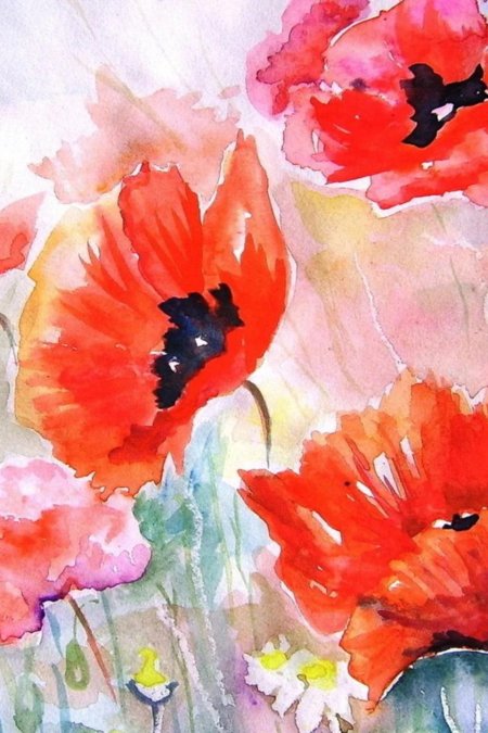 Маки живопись