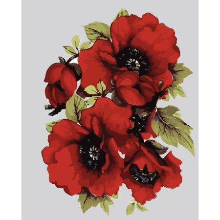 Картина по номерам маки