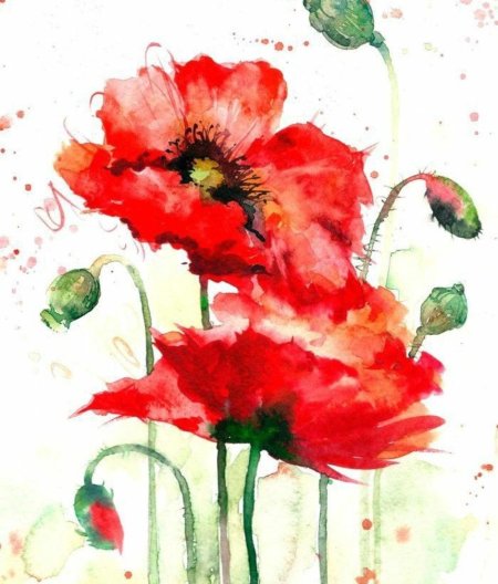 Цветы акварельные