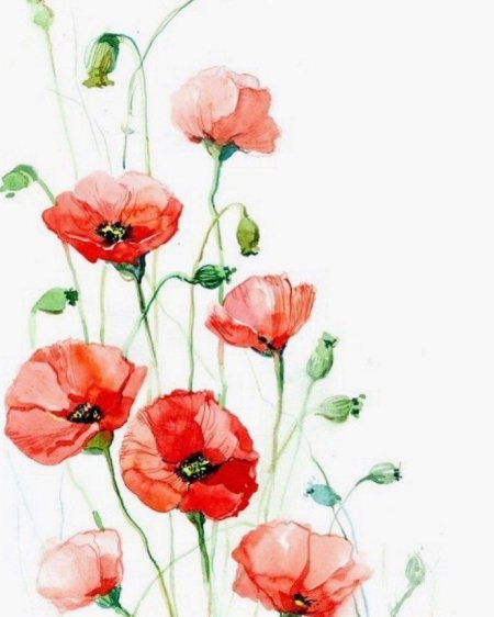 Цветок акварель