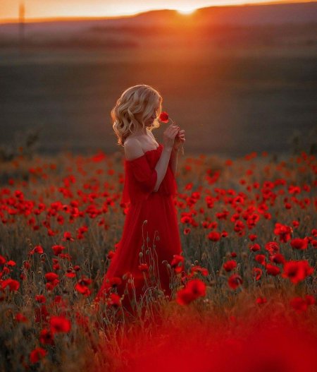 Маковое поле фотосессия