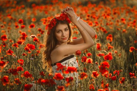 Дарья куцаева маковое поле