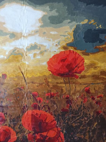 Маки на закате живопись