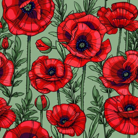 Red poppy
