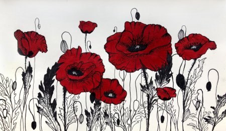 Мак рисунок