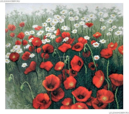 Вышивка маковое поле чаривна мить
