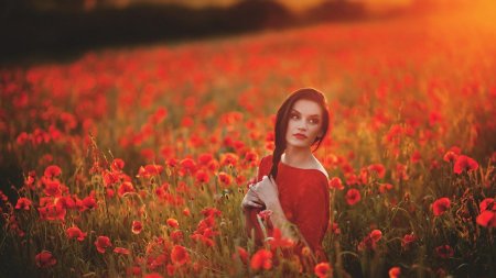 Маковое поле фотосессия