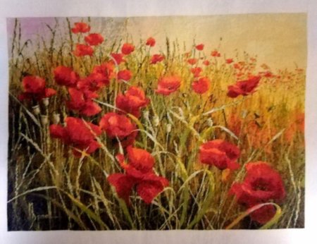 Анкор маковое поле