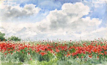Маковое поле акварелью