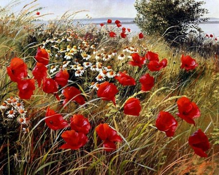 Маковое поле мэри дипнолл