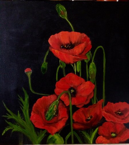 Картины маки