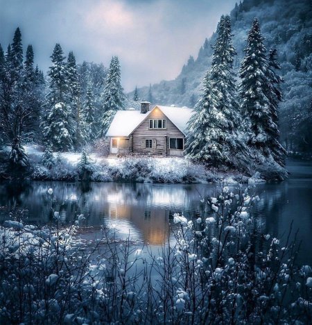 Домик в зимнем лесу