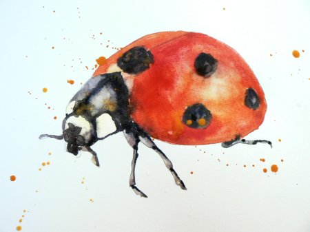 Божья коровка акварель