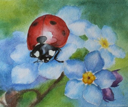 Божья коровка на цветке