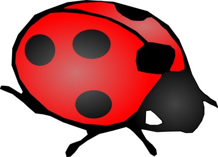 Ladybug божья коровка