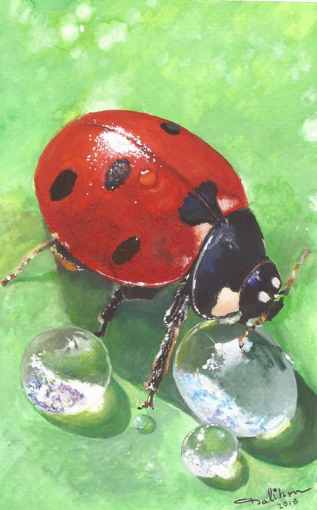 Коровка божья