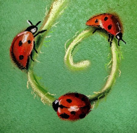 Божья коровка bukashka