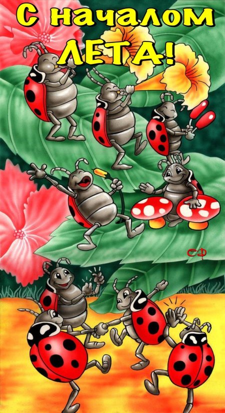 Божья коровка иллюстрация